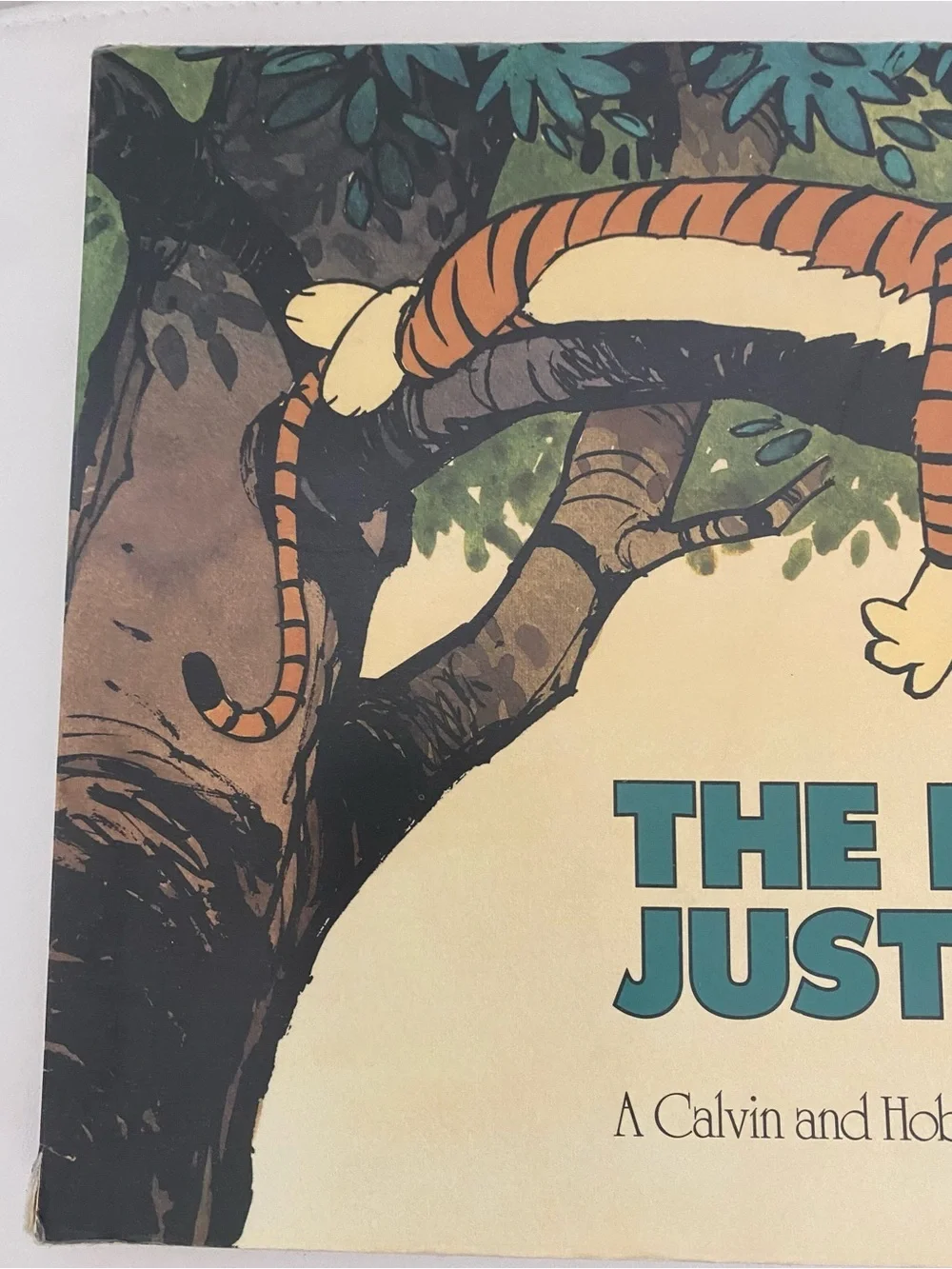 The Days Are Just Packed Calvin and Hobbes Bill Watterson Comic Collection 1993